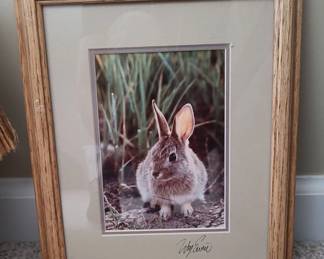 William Ervin Photography