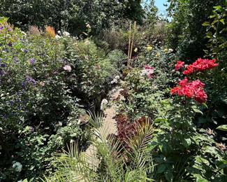 Landscaping Supplies: Plants, Tress, Succulents, Cacti, Roses, Grapefruit, Lemon, Lime, Oranges, Mandarin, Pomegranate, Avocado, Plum, Cherry, Fig, and More!