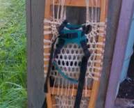 SNOWSHOES