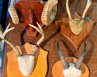 Antler Mounts