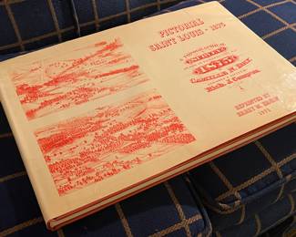 PICTORIAL SAINT LOUIS 