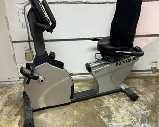 True ES700 Recumbent Bike