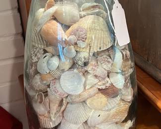 SEA SHELLS