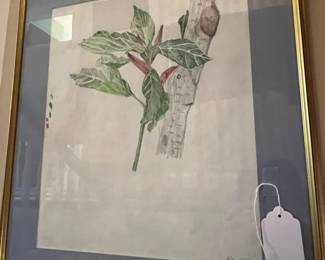 BOTANICAL PRINTS
