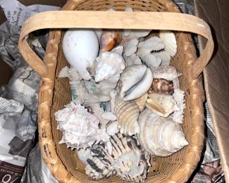 Shells and Baskets Collectible Shapes and Sizes-Decor