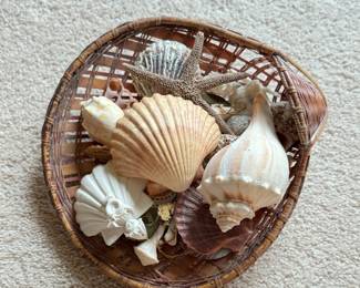 Sea Shells.