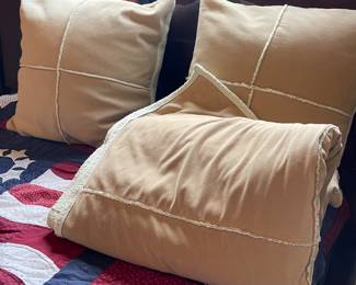 Comforter and pillows 