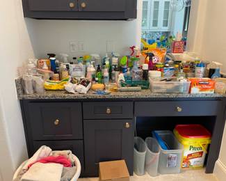 Cleaning supplies and misc chemicals 