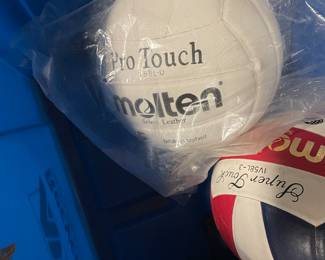 Pro Touch Molten volleyball