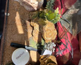 Lizard accessory detail 