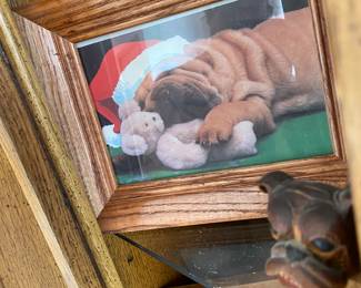 AWWWW!! Chinese Shar Pei