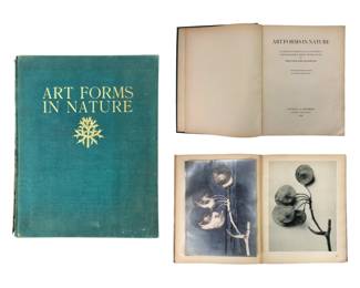Art Forms In Nature By Professor Karl Blossfeldt, First Edition, A. Zwemmer, London, 1929