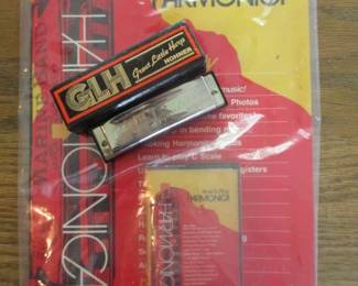 GLH Harmonica Learning Set