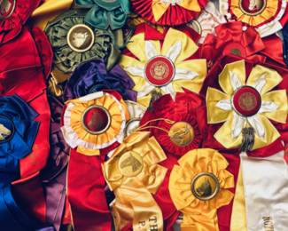 Group shot of Horse show ribbons from 1940’s-50’s