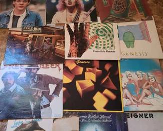13 Vinyl Records