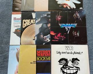 Vinyl Records Of Stevie Ray Muddy Waters And Others