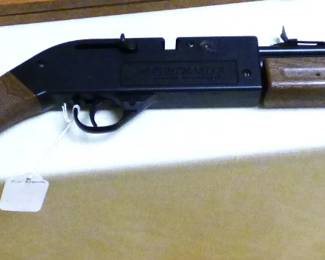 Another Pumpmaster Pellet BB Rifle