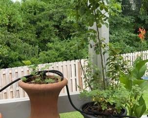 "Willow Creek Showcase" in Augusta, GA. Starts Closing Sat 7/13 at 8p. Pickup is Mon 7/15 from 1-6p. Please click here to view more photos, descriptions, and current bids: https://ctbids.com/estate-sale/29602