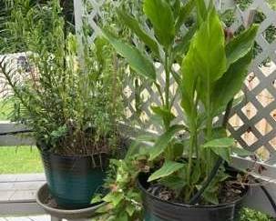 "Willow Creek Showcase" in Augusta, GA. Starts Closing Sat 7/13 at 8p. Pickup is Mon 7/15 from 1-6p. Please click here to view more photos, descriptions, and current bids: https://ctbids.com/estate-sale/29602