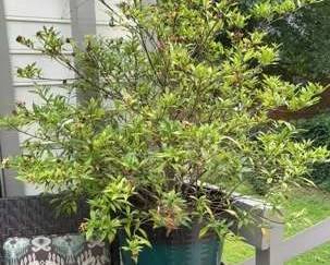 "Willow Creek Showcase" in Augusta, GA. Starts Closing Sat 7/13 at 8p. Pickup is Mon 7/15 from 1-6p. Please click here to view more photos, descriptions, and current bids: https://ctbids.com/estate-sale/29602