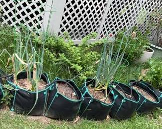 "Willow Creek Showcase" in Augusta, GA. Starts Closing Sat 7/13 at 8p. Pickup is Mon 7/15 from 1-6p. Please click here to view more photos, descriptions, and current bids: https://ctbids.com/estate-sale/29602