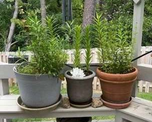 "Willow Creek Showcase" in Augusta, GA. Starts Closing Sat 7/13 at 8p. Pickup is Mon 7/15 from 1-6p. Please click here to view more photos, descriptions, and current bids: https://ctbids.com/estate-sale/29602