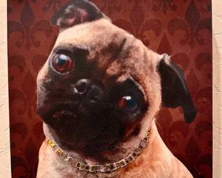 One of the pets of choice 