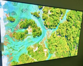 LG OLED 77” 4k, Smart TV!  120Hz Refresh Rate, AI-Powered 4K, Dolby Vision IQ, Alexa Built-in, Dolby Atmos, Built-In Apple Air Play, WiSA Ready, and Gaming Mode!!