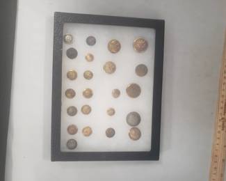 Display Lot Buttons Militaria etc