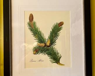 One of a Set of Three Evergreen Prints