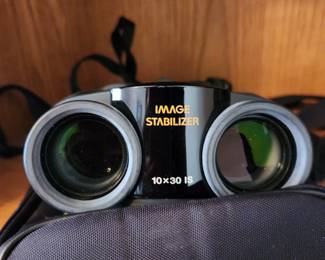 Canon birding binoculars 