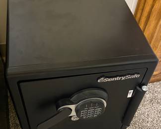 Sentry Safe