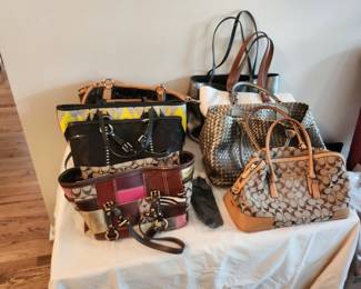 All coach plus there will be more Coach purses