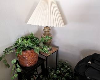 LivingRm BaskectsEtc Lamp