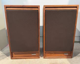Quadraflex ST17 Floor Speakers - Needs Work	