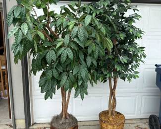 (2) 7ft Artificial Trees - Ficus & Coffee Trees	