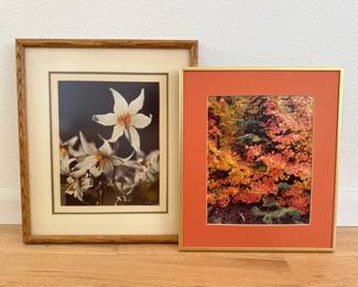 Vintage Signed Lee Mann Photo Duo - Avalanche Lily & Fall Foliage	