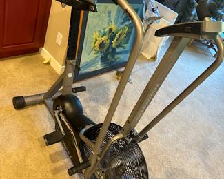 Schwinn Airdyne Evolution Comp exercise bike