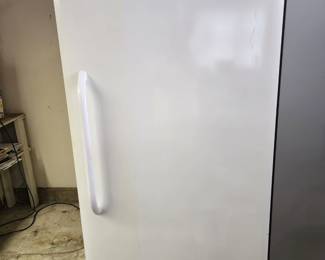 Frigidaire Freezer