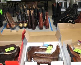 Large Assortment of Exotic & Leather Boots