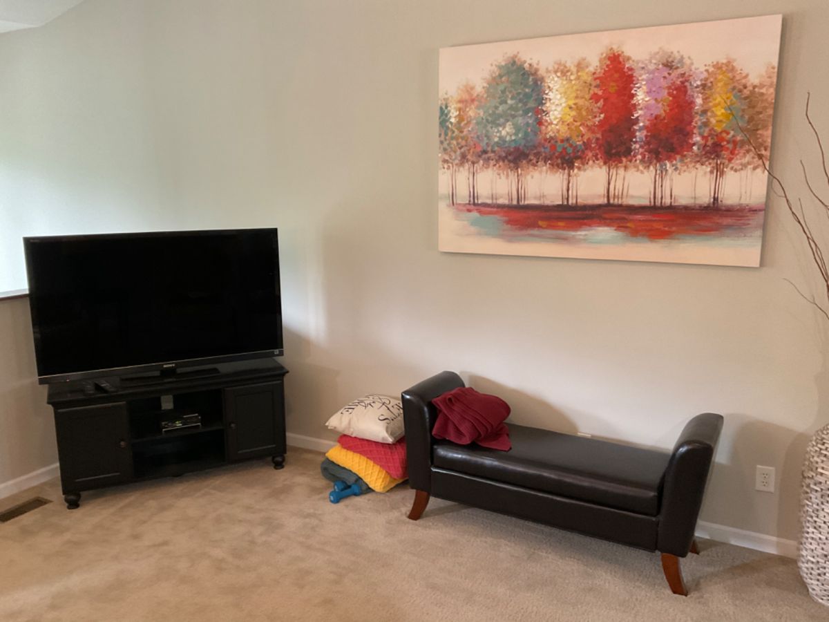 NICE FLAT SCREENS, WALL ART,