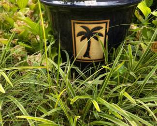 #66	Blue ceramic flowerpot 16x17	 $35.00 
#67	Blue ceramic flowerpot 16x17	 $35.00 
