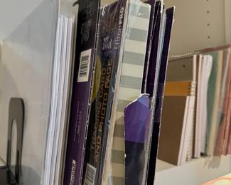 Page protectors and binder tabs