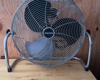Fan