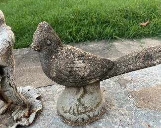 Here birdie, birdie, birdie.