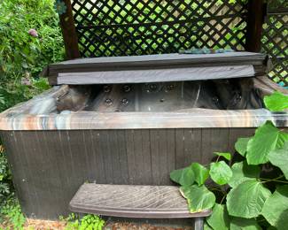 #53 - $1,600 	Jacuzzi Purchased 3-4 years ago from Home & Garden Spas 

