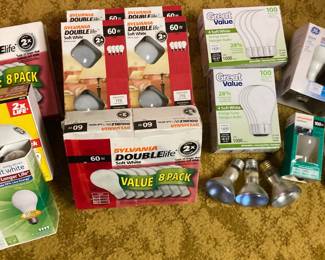 Variety Lot of Light Bulbs
