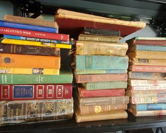 Lot of Vintage Hard Backed Books
