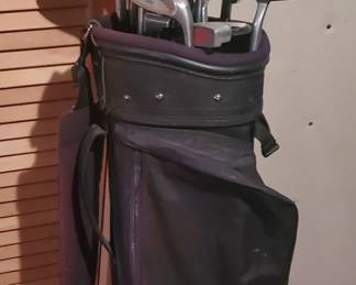 Force Ten, Wilson, Targetline Gold Clubs in MacGregor Bag
