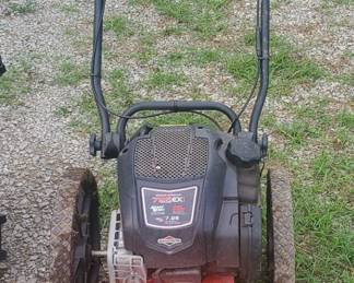 Briggs & Stratton Ready Start Timmer Mower - it smokes
